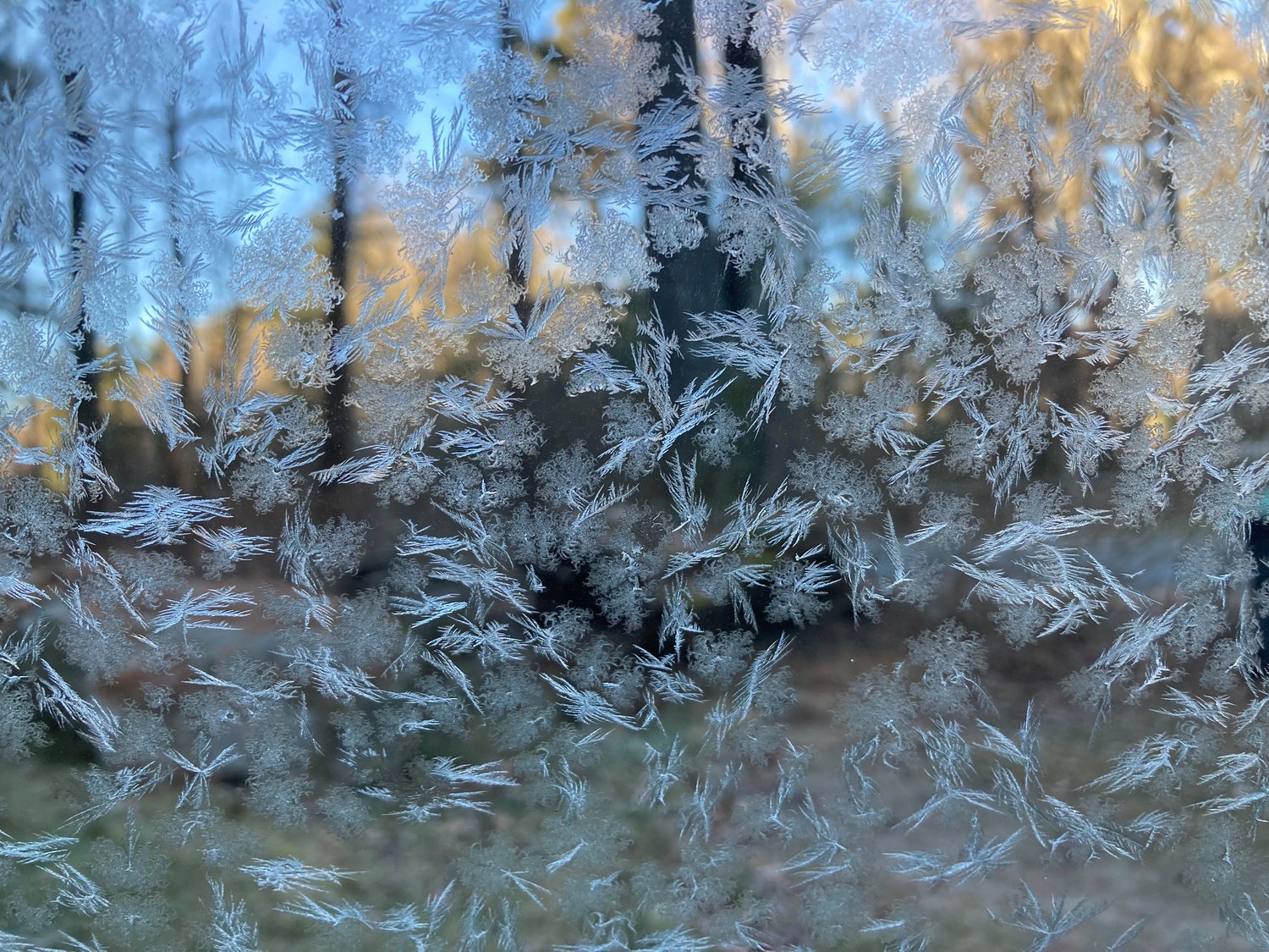 A closer look at the delicate beauty of the frost formations on my car window. This type of frost forms when water vapor condenses on the cold glass.